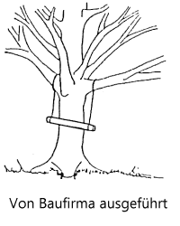 Schaukelseile an 2 verschiedenen Ästen