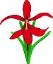 Clipart Blume