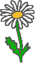 Clipart Blume