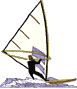 Clipart Windsurfen